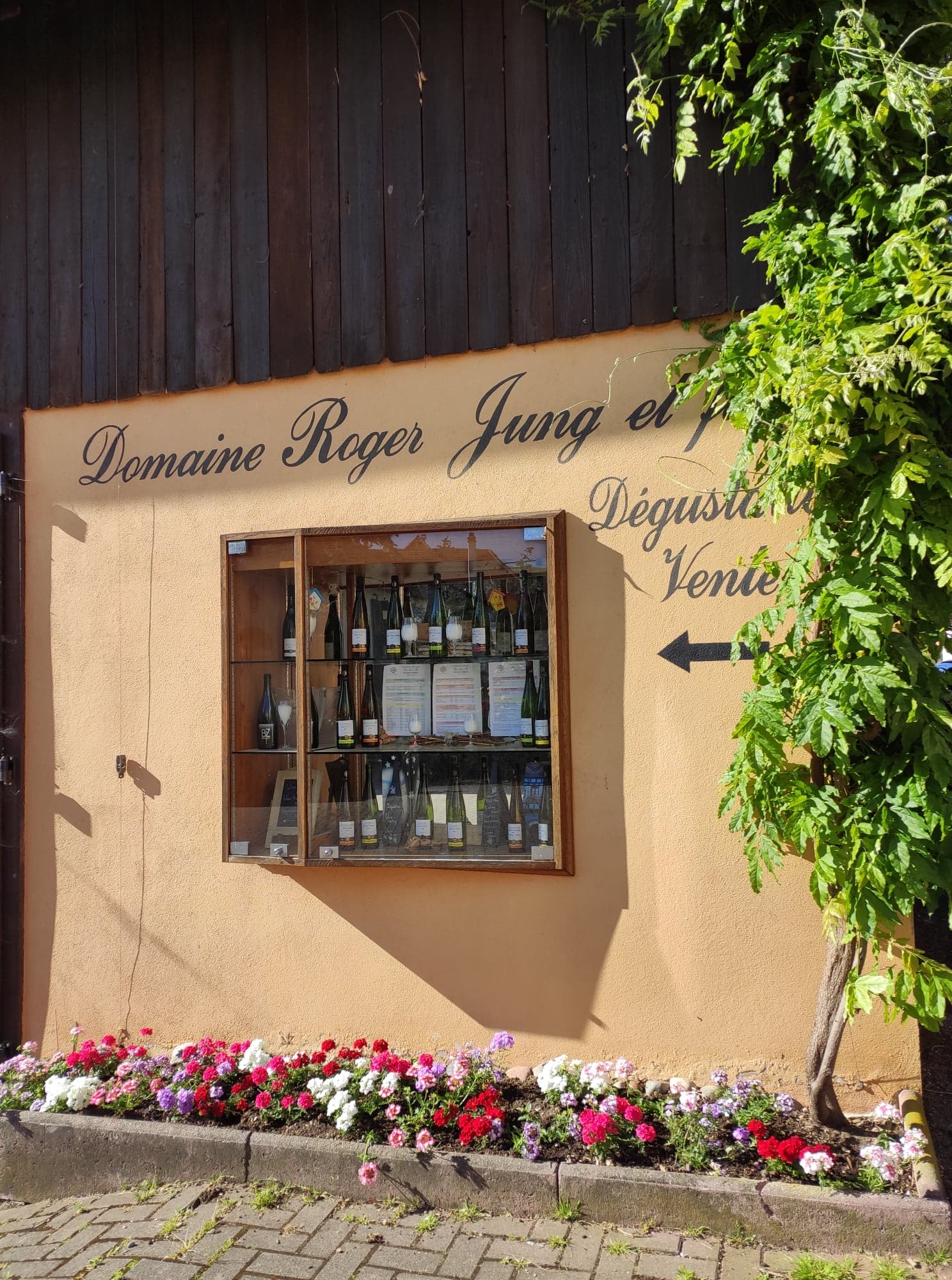Vins Roger Jung et Fils, dégustation de vins d’alsace à Riquewihr