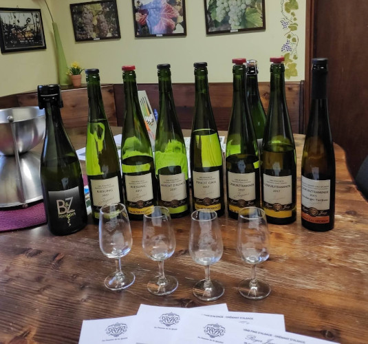 Vins Roger Jung et Fils, dégustation de vins d’alsace près de Sélestat