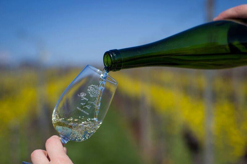Vins Roger Jung et Fils, dégustation de vins d’alsace à Riquewihr, à côté de Colmar